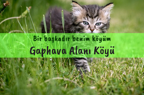 Gaphava Alanı Köyü